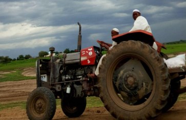 حصاد الجزيرة من القمح