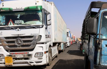  تصدير الماشية