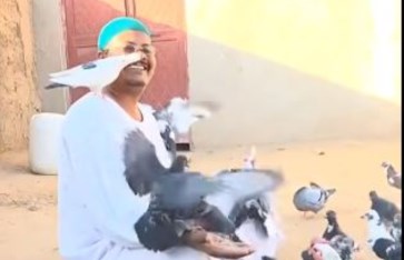 صداقة استثنائية مع الطيور