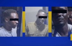 شبكات النهب