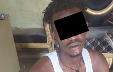 شيكة اجرامية