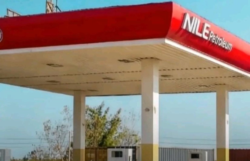  النيل للبترول 