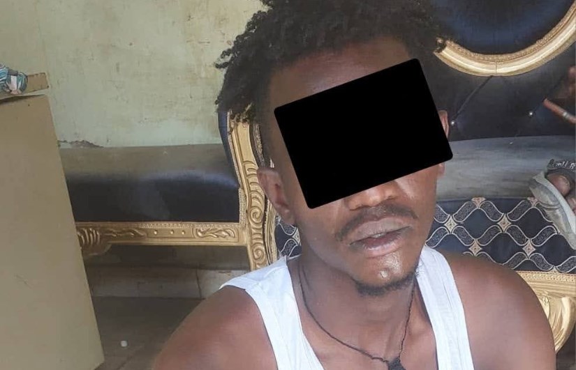 شيكة اجرامية