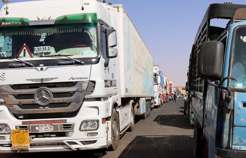  تصدير الماشية