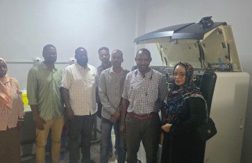 ولاية الجزيرة