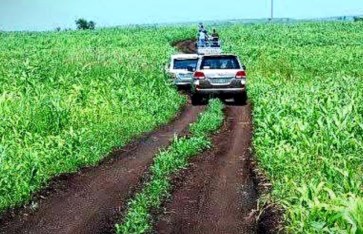 التعاون الزراعي