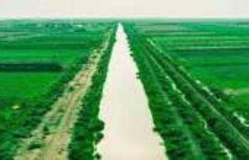 الاستثمار الزراعي