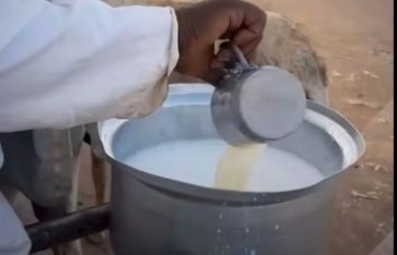 الحليب الطازج