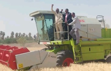 الولاية  الشمالية