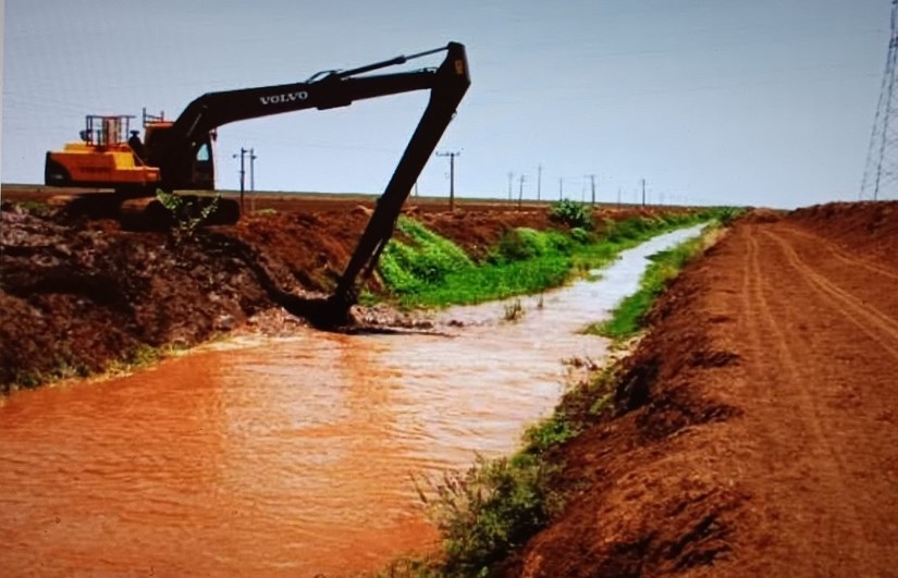 العروة الصيفية