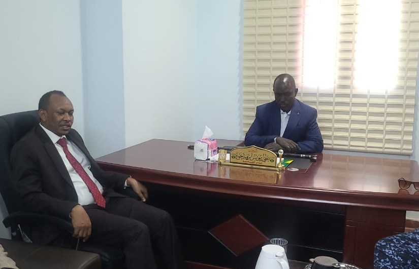 والي شرق دارفور