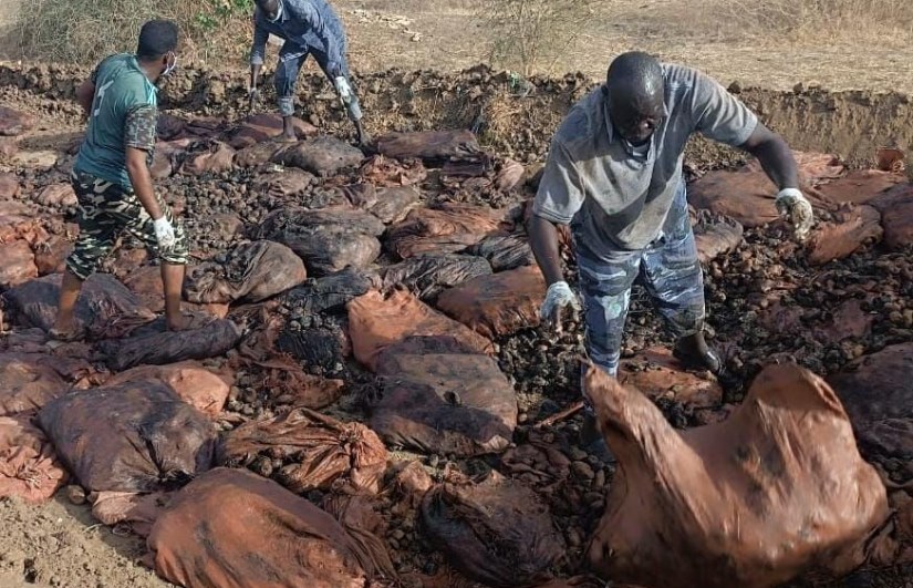 بطاطس مهربة