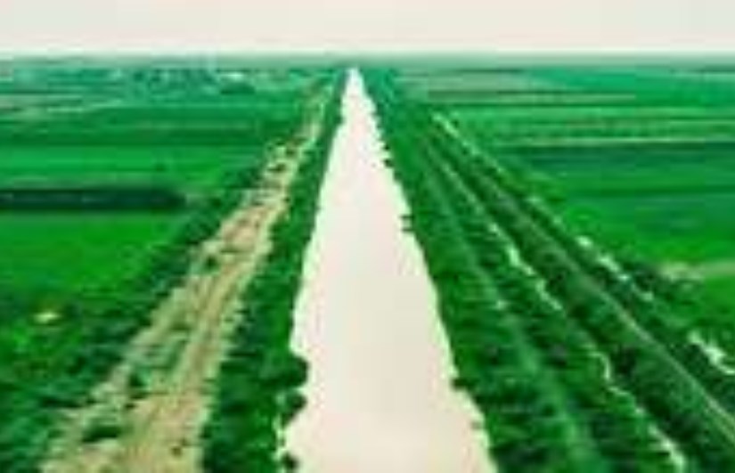 الاستثمار الزراعي