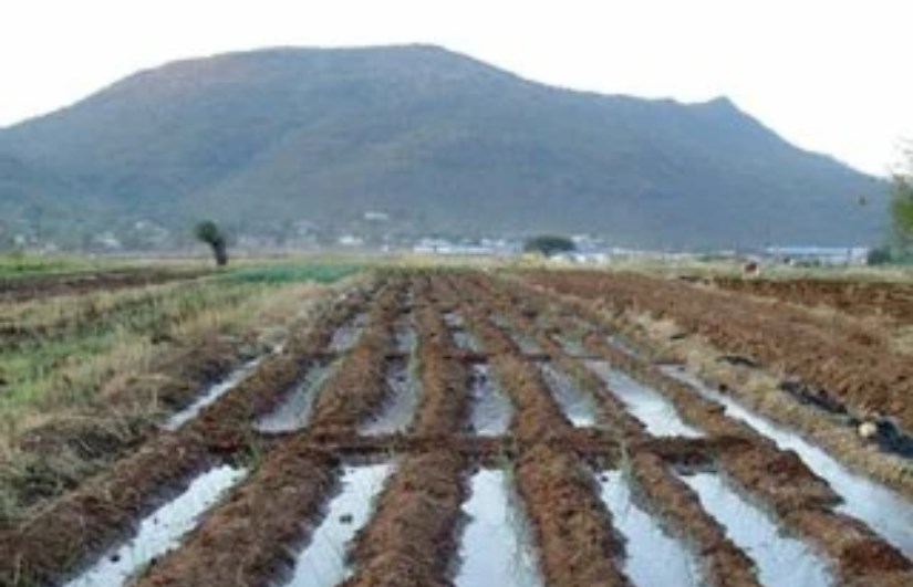 السليت الزراعي