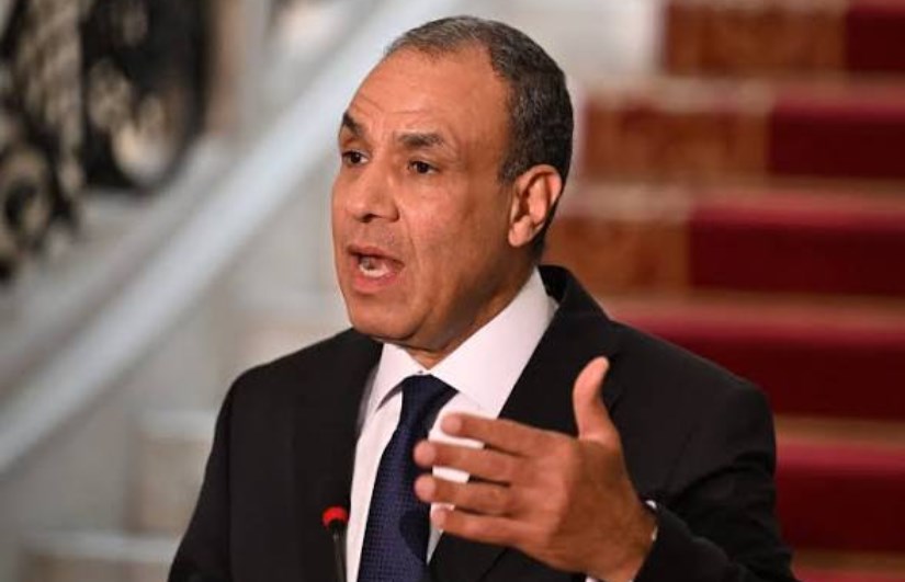  بدر عبد العاطي وزير الخارجية