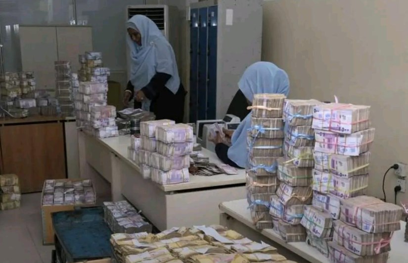 الدورة المالية