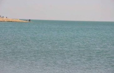  الأمين العام للمجلس الاعلى للثروة الحيوانية