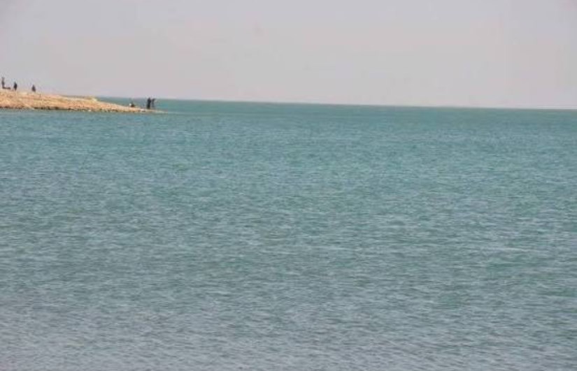  الأمين العام للمجلس الاعلى للثروة الحيوانية