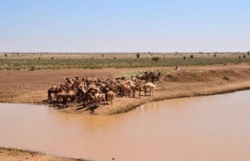انطلاق برنامج حصاد المياه 