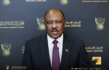محيي الدين سالم، وزير الخارجية والتعاون الدولي
