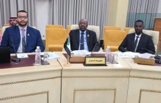 جانب من المشاركة 