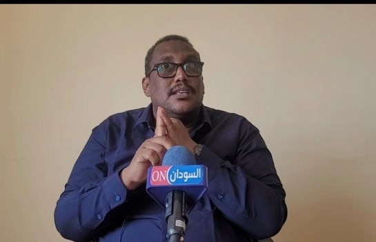 همام علي مصطفى، الأمين السياسي لحركة المستقبل للإصلاح والتنمية