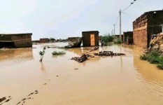 أمطار ولاية الجزيرة