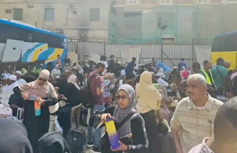 العودة الطوعية من مصر