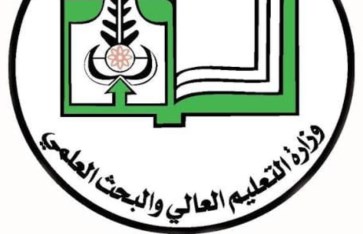 التعليم العالي
