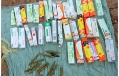 المضبوطات