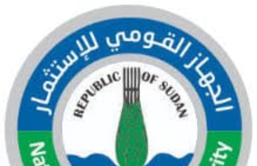القومي للاستثمار