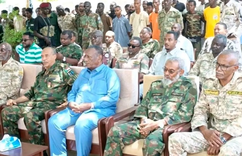 والي الجزيرة