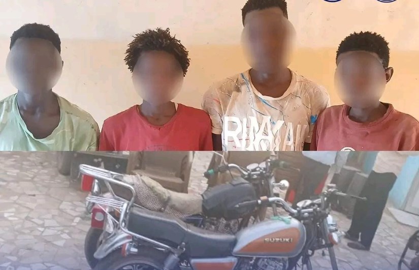 ضبط المتهمين