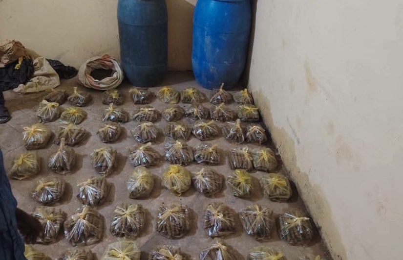 ضبط 1200 قندول حشيش وكمية من الحشيش السائب في الدامر.. والإطاحة بأحد أخطر المروجين